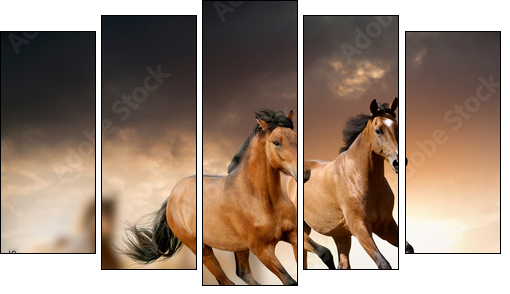 horses in sunset - Five-piece canvas, Pentaptych