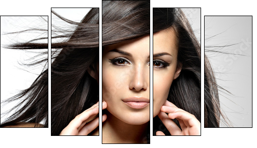 Fashion model  with beauty long straight hair. - Five-piece canvas, Pentaptych