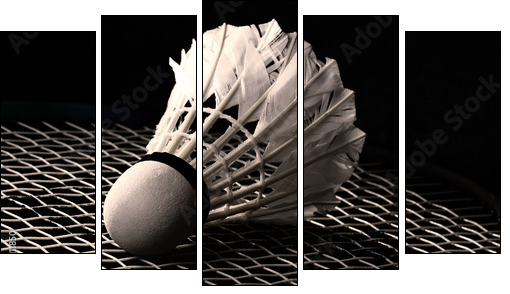 Shuttlecock on badminton racket - Five-piece canvas, Pentaptych