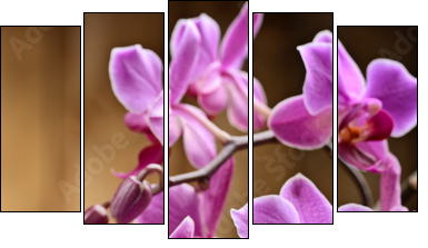 spa concept - Five-piece canvas, Pentaptych