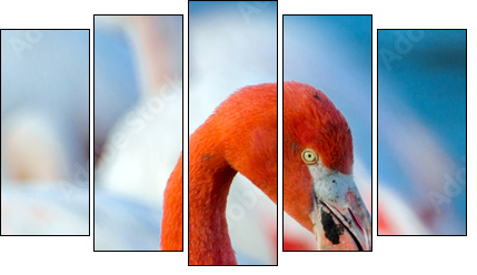 Pink flamingo on the lake - Five-piece canvas, Pentaptych
