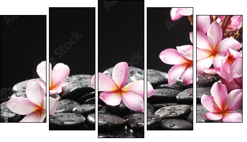 Set of frangipani with zen stones - Five-piece canvas, Pentaptych