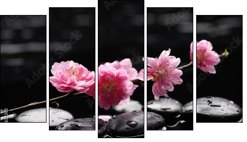 branch tropical orchid with therapy stones - Five-piece canvas, Pentaptych