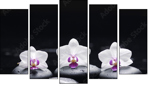 orchid flower and stones in water drops - Five-piece canvas, Pentaptych