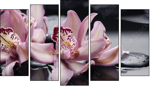 spa concept âgorgeous pink orchid and zen stones - Five-piece canvas, Pentaptych