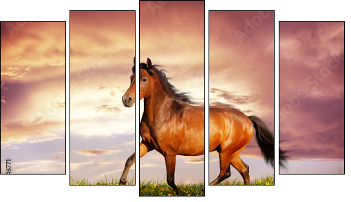 Beautiful brown horse running trot - Five-piece canvas, Pentaptych