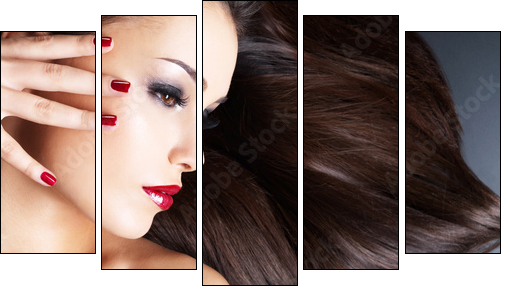 Beautiful woman with long brown straight hairs - Five-piece canvas, Pentaptych