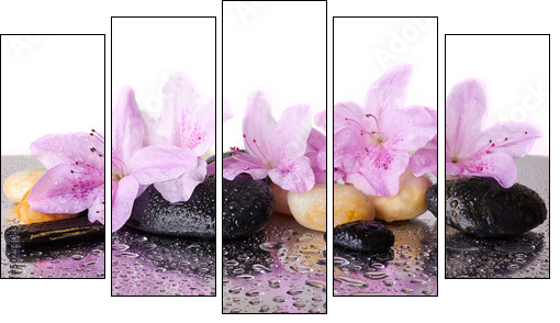 Pink flowers and black stones - Five-piece canvas, Pentaptych