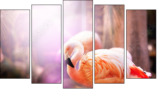 Flamingo - Five-piece canvas, Pentaptych
