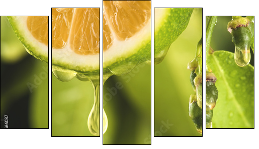 Drop of juice from a sliced lemon - Five-piece canvas, Pentaptych