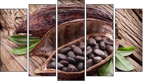 Cocoa pod - Five-piece canvas, Pentaptych