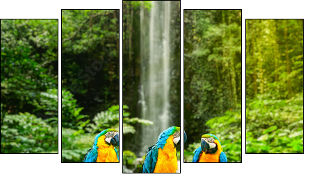 Blue-and-Yellow Macaw - Five-piece canvas, Pentaptych