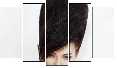 Updo Hair. Woman with Trendy Hairstyle with Diamond Earrings - Five-piece canvas, Pentaptych
