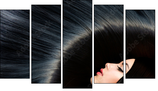Healthy Long Black Hair. Beauty Brunette Woman - Five-piece canvas, Pentaptych