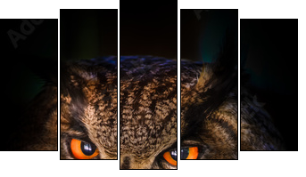 Grand Duc - Five-piece canvas, Pentaptych