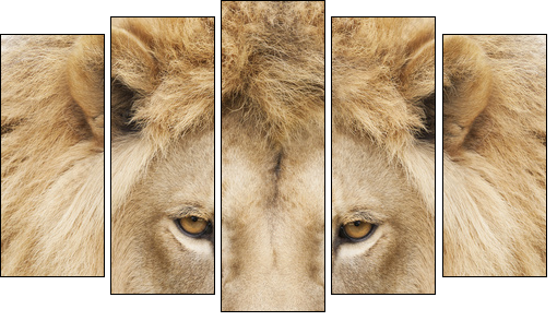 King - Five-piece canvas, Pentaptych