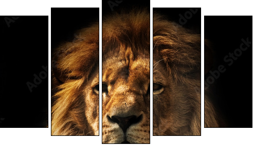 Lion portrait with rich mane on black - Five-piece canvas, Pentaptych