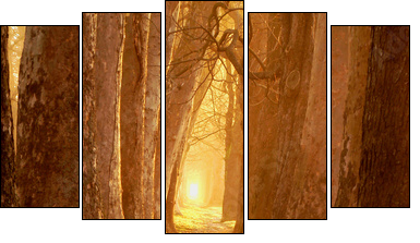 magic path - Five-piece canvas, Pentaptych