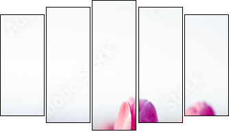 beautifull tulips - Five-piece canvas, Pentaptych