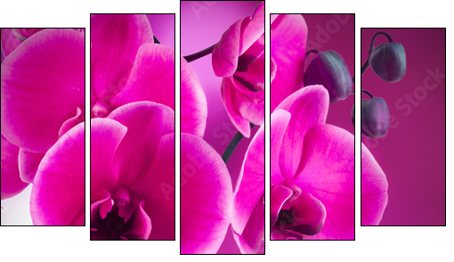 natural floral background, spa concept - Five-piece canvas, Pentaptych