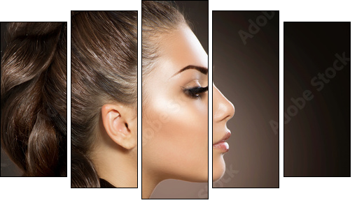 Hair Braid. Beautiful Woman with Healthy Long Hair - Five-piece canvas, Pentaptych