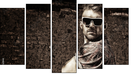 sunglasses - Five-piece canvas, Pentaptych