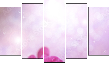 Beautiful blooming orchid  on light color background - Five-piece canvas, Pentaptych