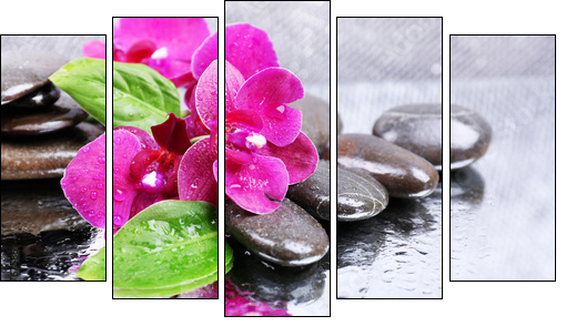 Composition with beautiful blooming orchid with water drops and - Five-piece canvas, Pentaptych