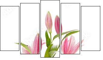 Pink lily - Five-piece canvas, Pentaptych
