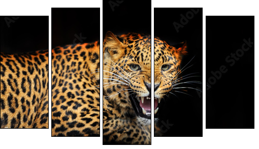 Portrait of leopard in its natural habitat - Five-piece canvas, Pentaptych