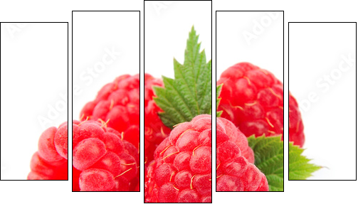 Sweet raspberry with leafs - Five-piece canvas, Pentaptych