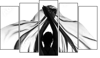 Butterfly effect - Five-piece canvas, Pentaptych