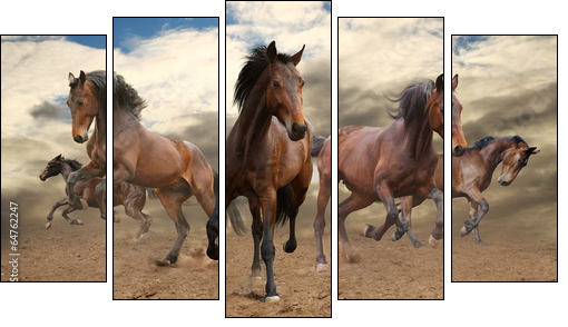 five indomitable bay horse galloping - Five-piece canvas, Pentaptych