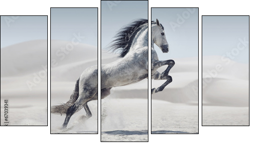Picture presenting the galloping white horse - Five-piece canvas, Pentaptych