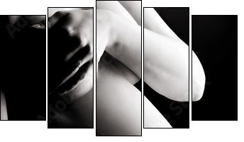 prenatal - Five-piece canvas, Pentaptych