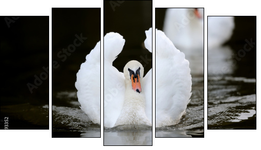 Swan in the lake - Five-piece canvas, Pentaptych