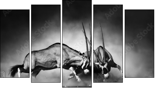 Gemsbok fight - Five-piece canvas, Pentaptych