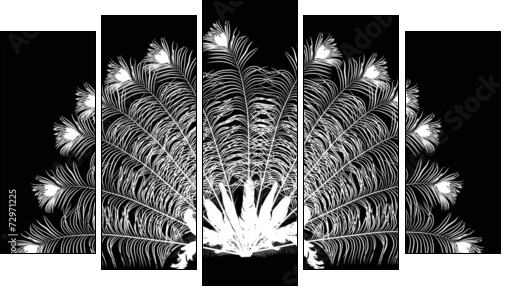 peacock feather fan silhouette on black - Five-piece canvas, Pentaptych