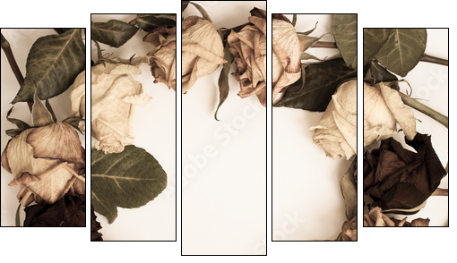 withered rose - Five-piece canvas, Pentaptych