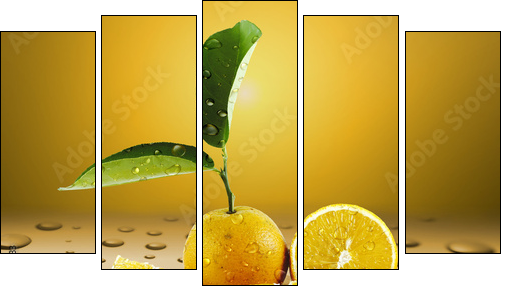Laranja Molhada - Five-piece canvas, Pentaptych