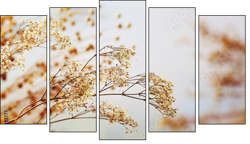 Dried flowers background - Five-piece canvas, Pentaptych