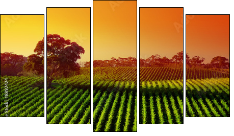 Beautiful Vineyard Landscape with large gum tree - Five-piece canvas, Pentaptych