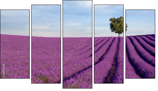Rich lavender field in Provence with a lone tree - Five-piece canvas, Pentaptych