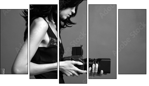 Fashion portrait of young photographing lady - Five-piece canvas, Pentaptych