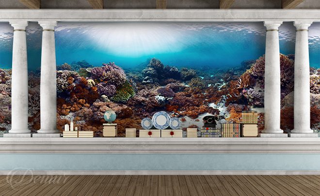 Koralovce-pod-vodou-koralovy-utes-fototapety-demur