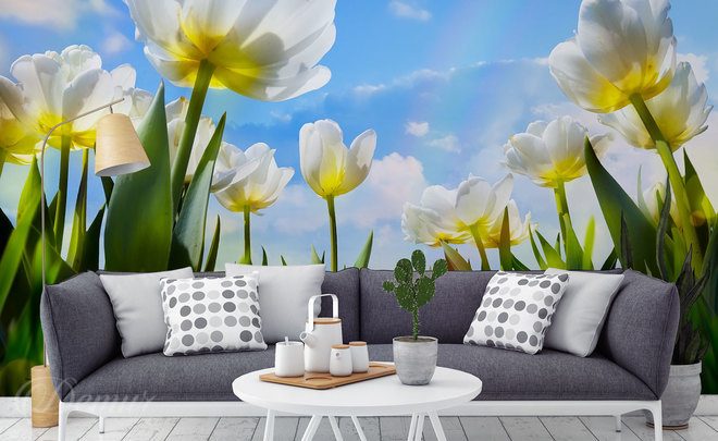 Barevna-rise-tulipanu-kvetiny-fototapety-demur