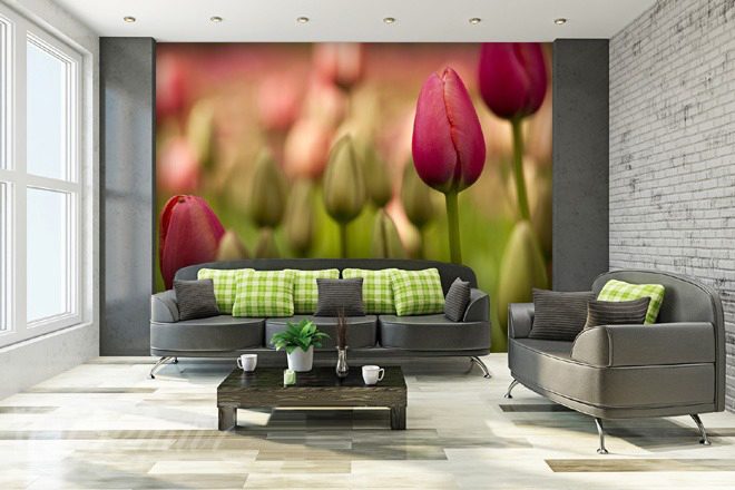 Tulipanovy-raj-kvetiny-fototapety-demur